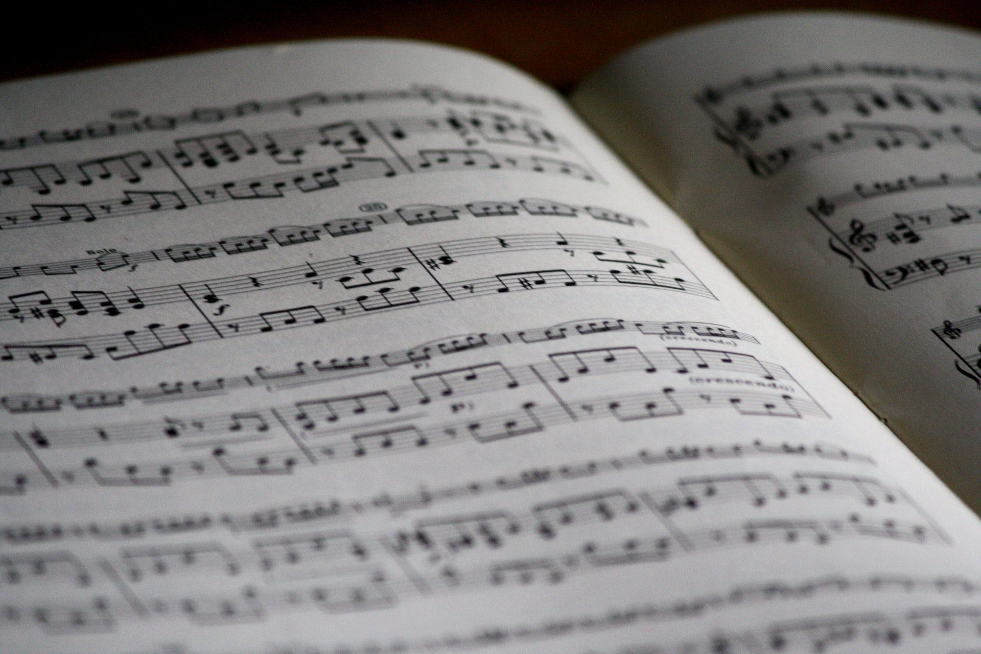 You are currently viewing Music Education | Primary School & Secondary School